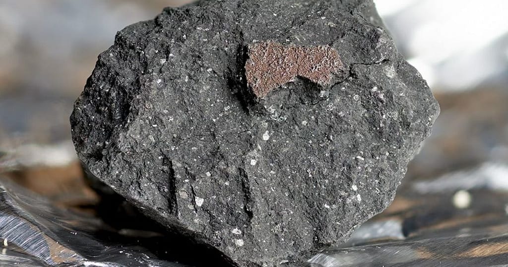 A rare meteorite has secrets about the origin of life on Earth