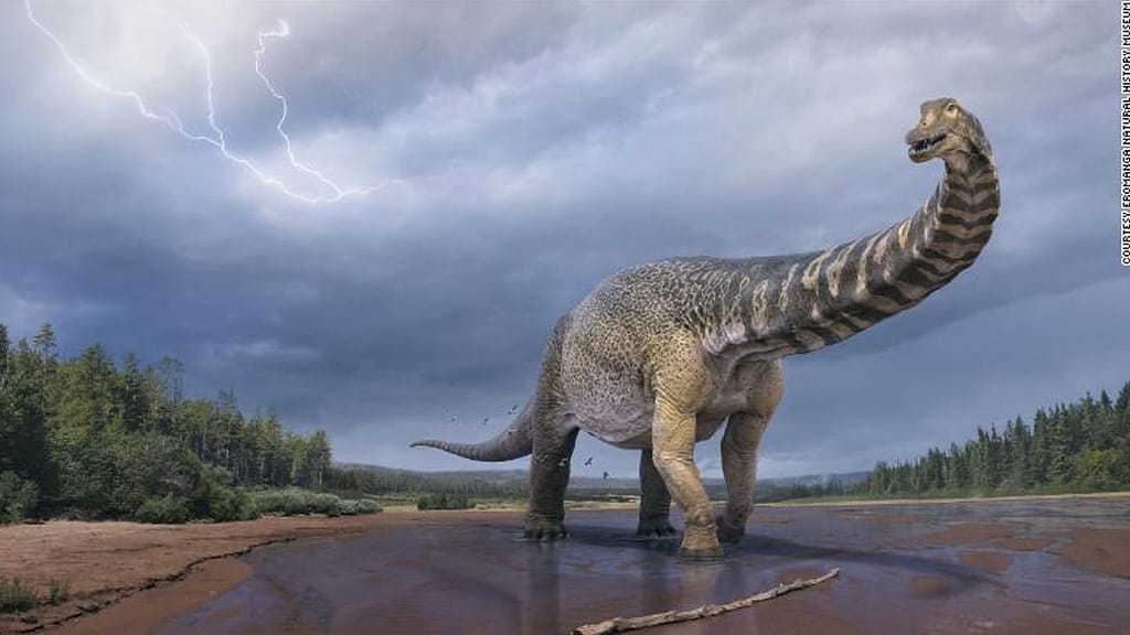 Australia's largest dinosaur is a new species, according to this measure