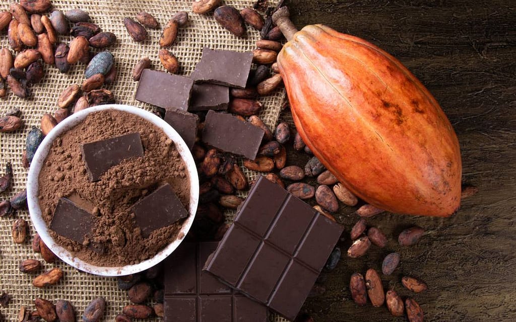 Science has found the key to making the 'perfect chocolate' - El Sol de Toluca