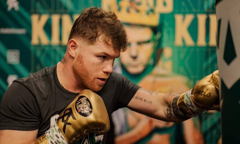 Saúl 'Canelo' lvarez will be fighting in Mexico this year