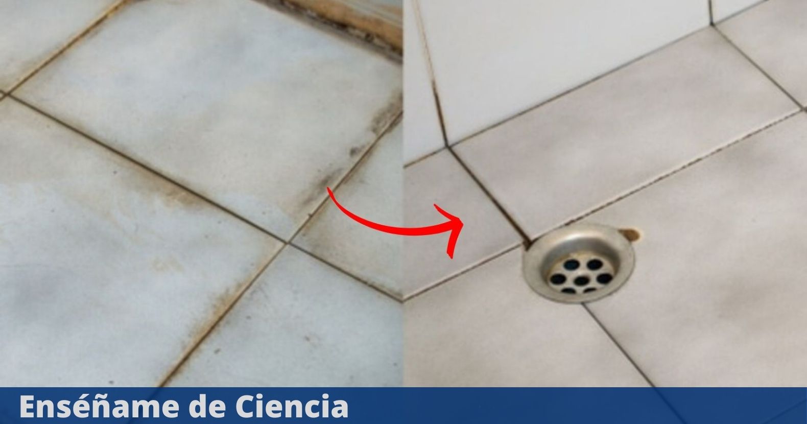 The perfect homemade ingredient to clean bathroom floor stains – Enséñame de Ciencia