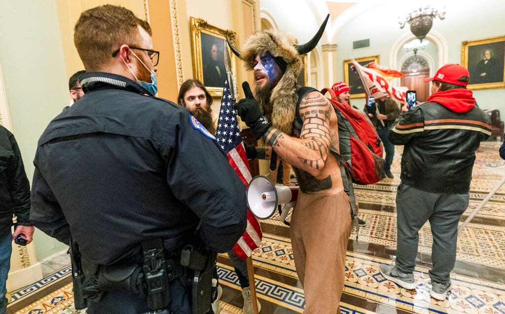 By storming the Capitol, they arrested the horned man