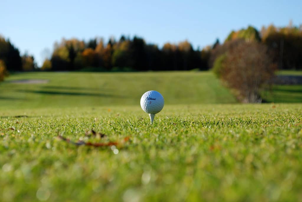 10 Awesome Reasons to Start Playing Golf