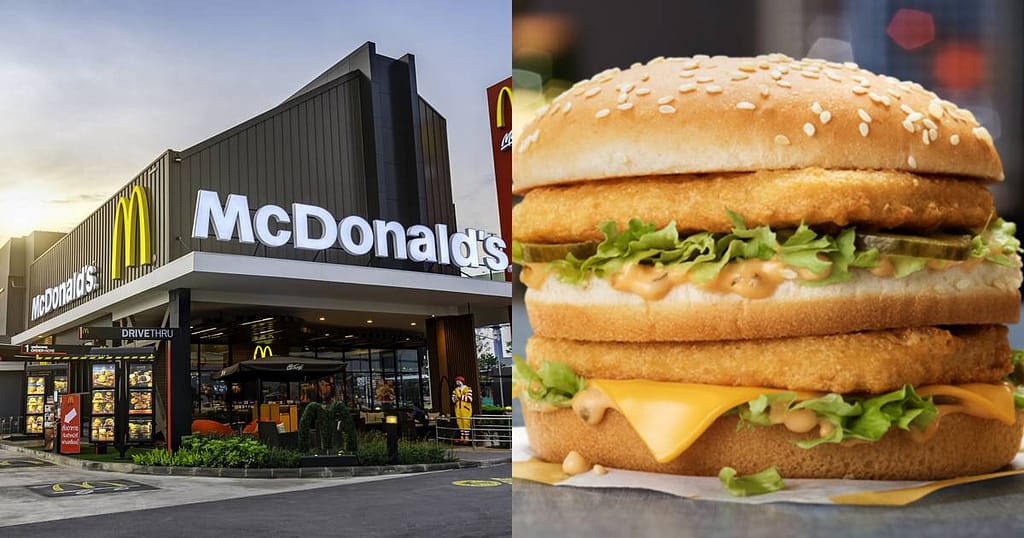 McDonald's introduces the new "Chicken Big Mac" to the United States - Metro World News