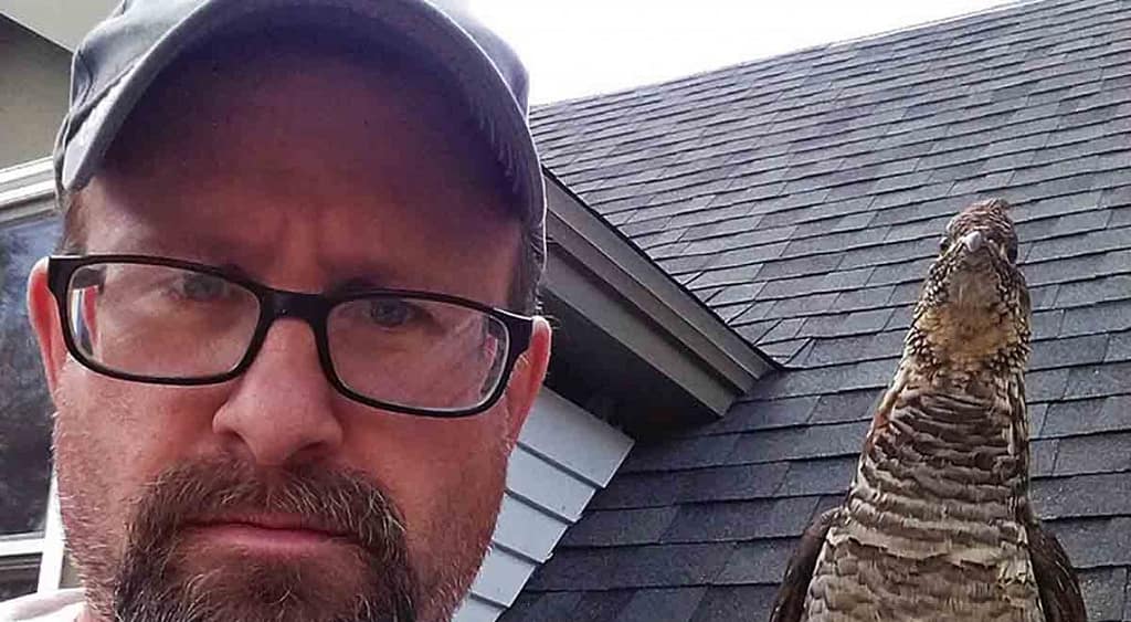 Todd, the guy who befriended a wild bird and they are already viral
