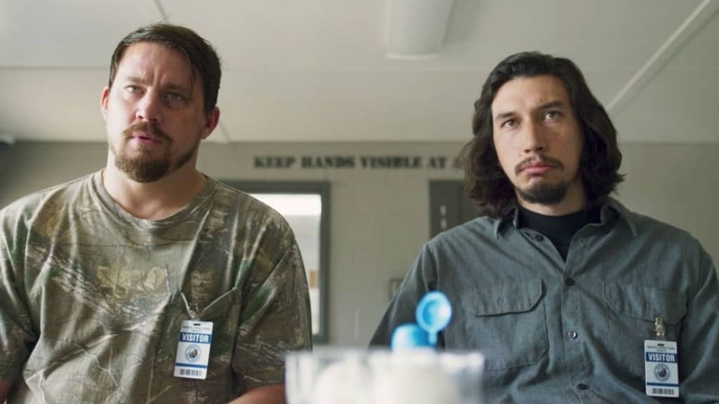 Netflix: This comedy by Adam Driver and Channing Tatum is the perfect comedy if you want to laugh on a Saturday