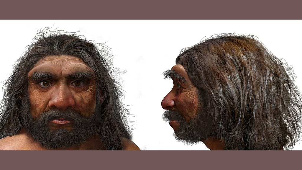 "Dragon Man" is our closest ancestor: scientists