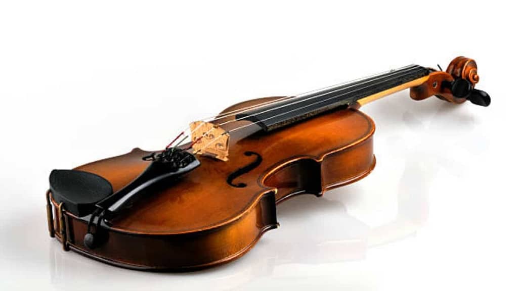 La lucha contra los gusanos dio a los violines Stradivarius su sonido único: Estudio