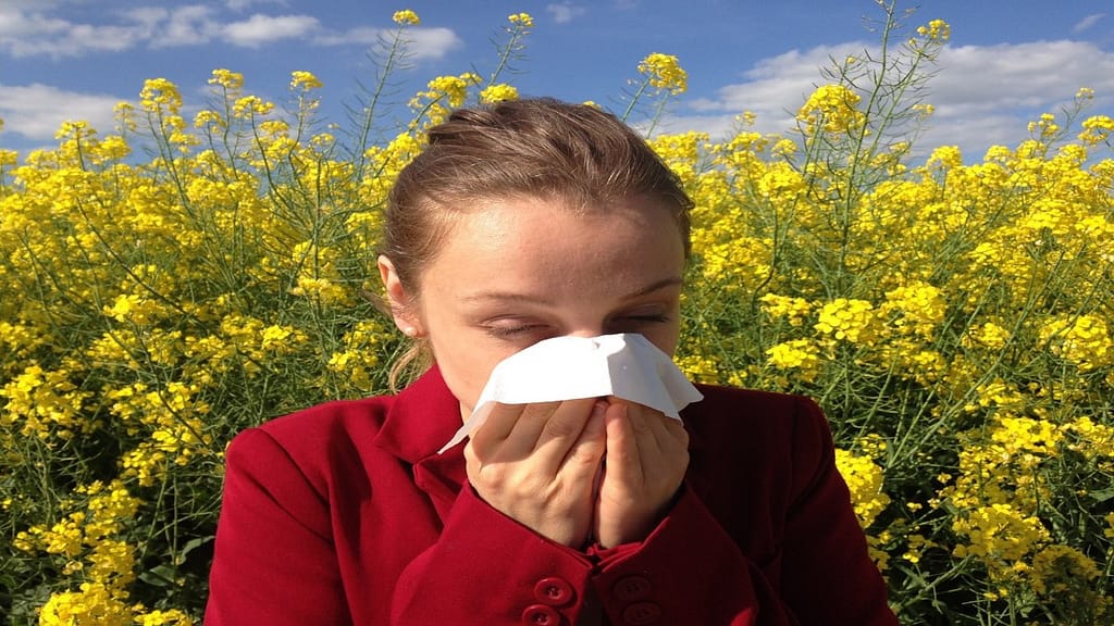 What are the causes of allergies in the fall?