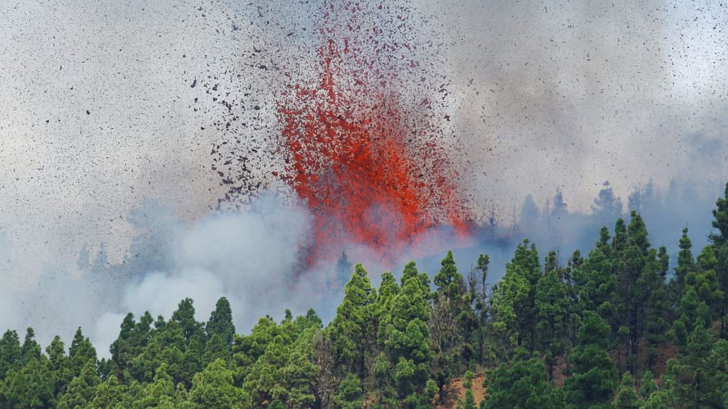 El Paso: La Palma volcano eruption |  Science