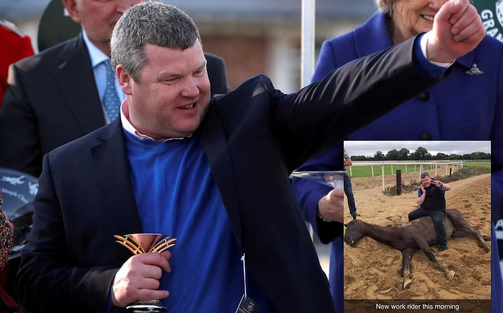 Gordon Elliott and the picture it doesn't deserve: with a cell phone on a dead horse