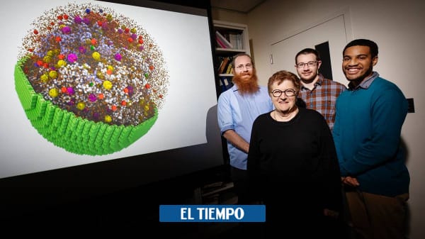 They mimic the behavior of a living small cell in 3D - Science - Life