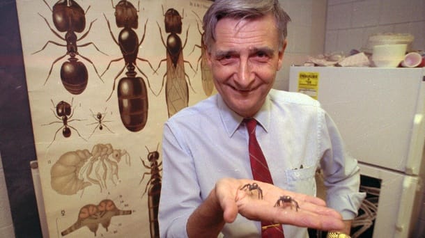 The well-known American biologist Edward Osborne Wilson has died.  Edward O. Wilson (file photo): biologist and co-author of the book "ants", winner of the Pulitzer Prize for Nonfiction Writing, is dead.  (Source: dpa/AP)