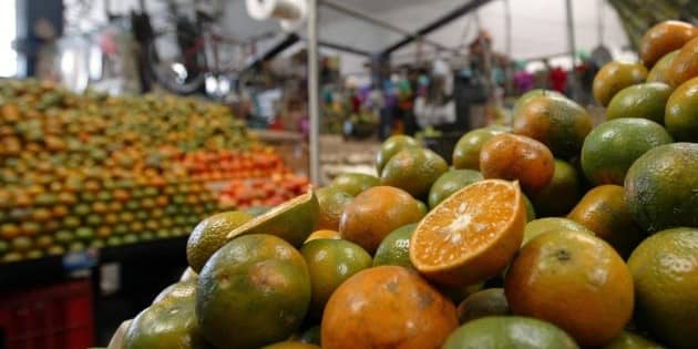 Mexico's citrus exports increased by 28.3% between January and July