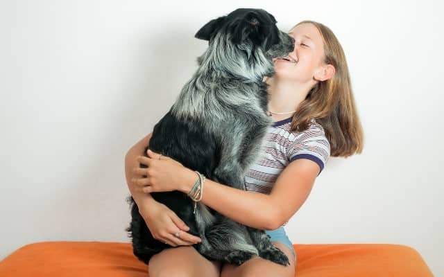 A dog that understands sign language spreads in the networks