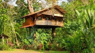Bali-inspired tree house, in Jaco, Puntarenas Province, Costa Rica.  Photo: Airbnb