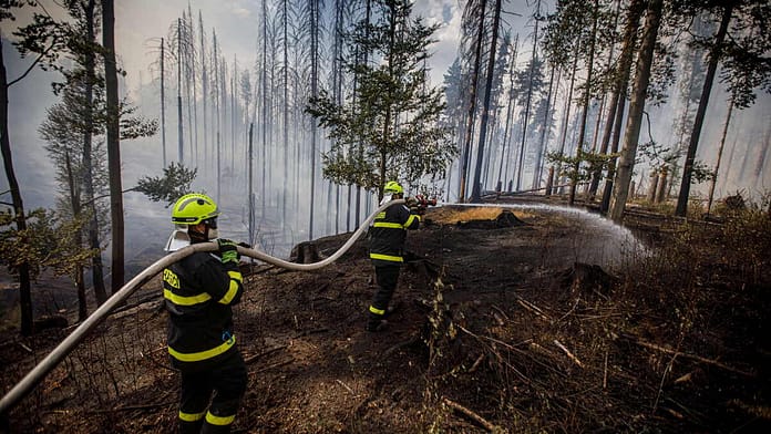  Forest fires in Saxon Switzerland: embers worry firefighters;  Lambrecht is coming

