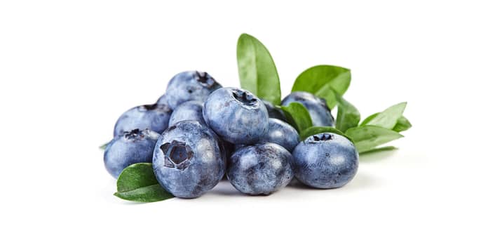 Blueberries appear to reverse cognitive decline - a healing practice

