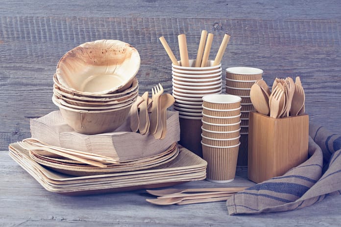 Why should you be wary of alternatives to disposable plastic dishes

