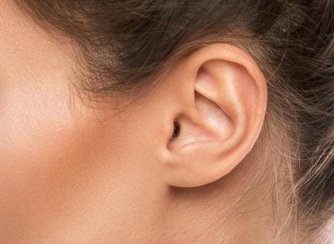 Ears made from human cells

