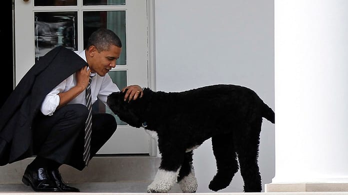 Barack Obama mourns Pooh's dog - Foreign Policy

