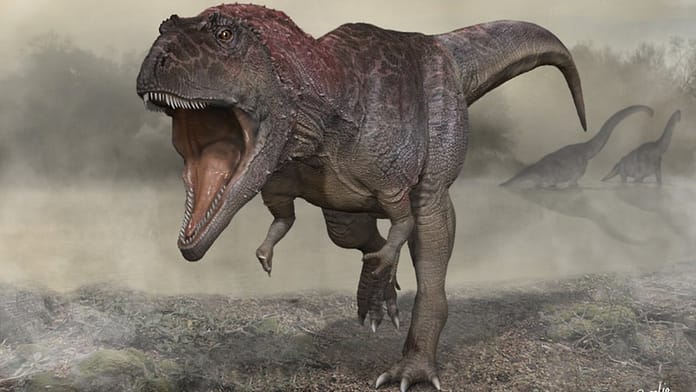 A new discovery in Patagonia: a huge dinosaur with heeled sleeves

