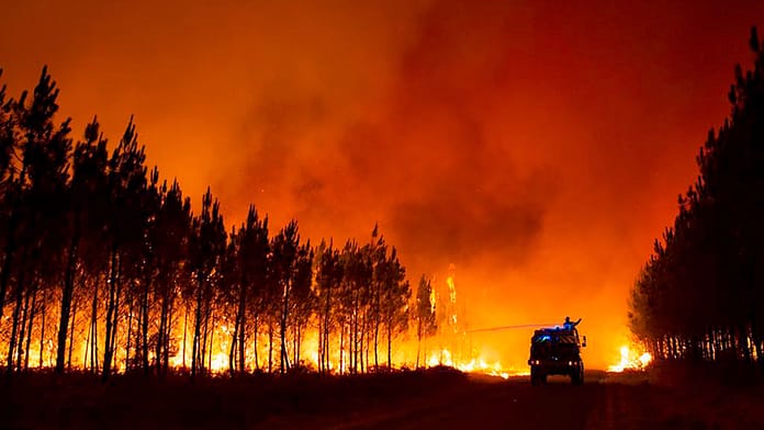 Record temperatures: new forest fires raging in France

