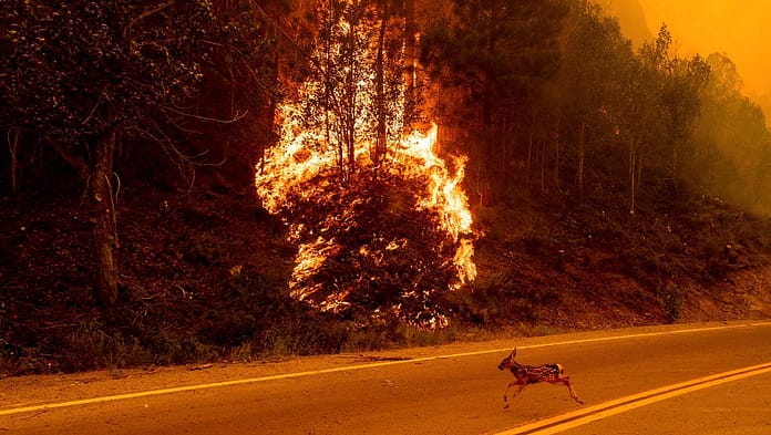 USA - California: Wildfires spread near Yosemite National Park

