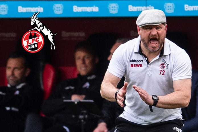 1st title for 1. FC Köln: Steffen Baumgart voted 'Coach of the Year'.


