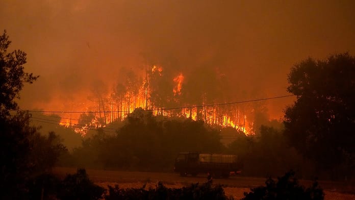 Cause of wildfires: More than 50 people arrested for arson in Portugal

