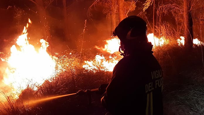 Fire brigades in constant use: hundreds of wildfires rage in Italy

