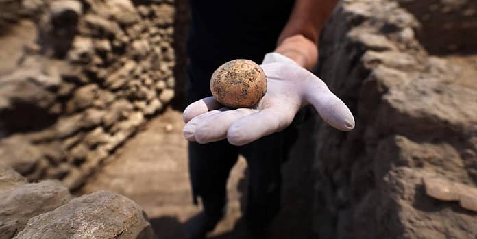 Israel: 1,000-year-old egg found deep in human waste

