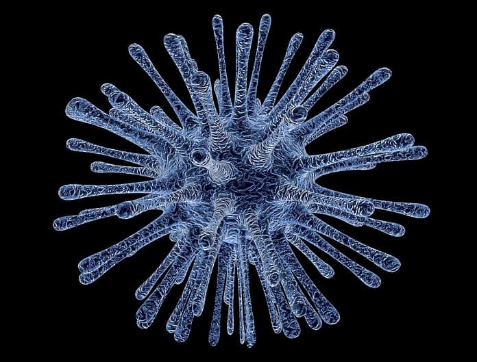 The unexpected effect of Covid-19 on the influenza virus

