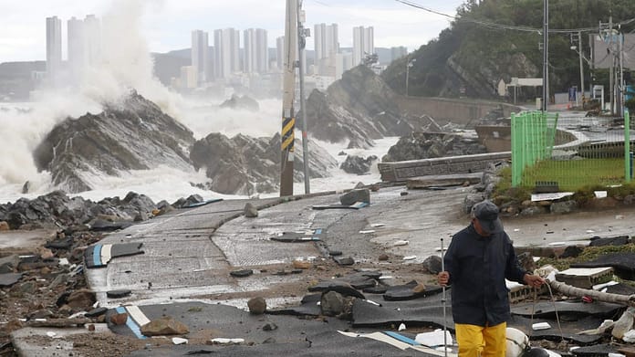  Typhoon Hinnamur hits South Korea: dead, missing, and thousands evacuated |  News

