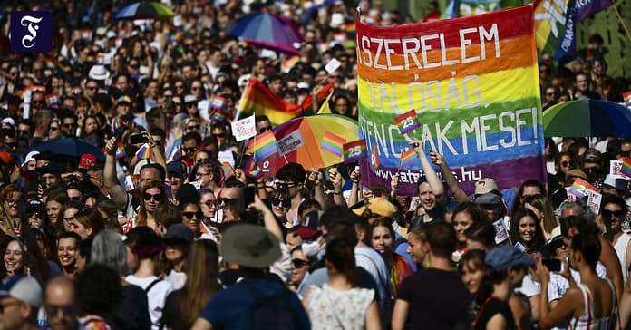 Record number of participants in the Pride Parade in Hungary

