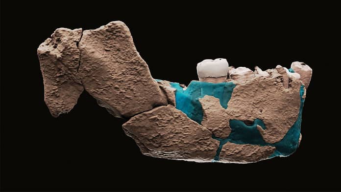 Israel: The bones of a prehistoric man were found that were not known before

