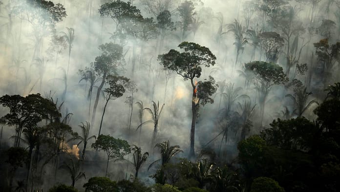 Amazon: Rainforests currently emit more carbon dioxide than they absorb

