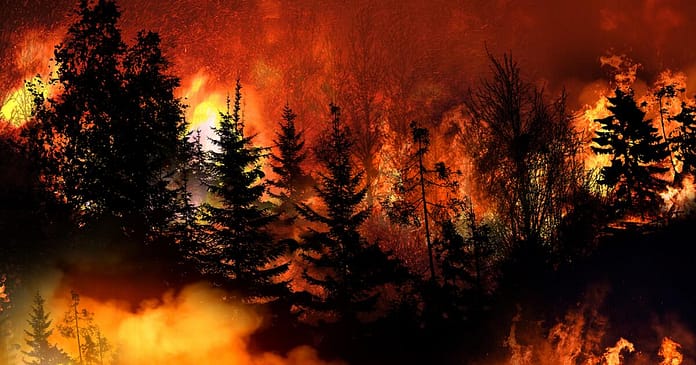 Study: Global warming greatly increases the risk of wildfires

