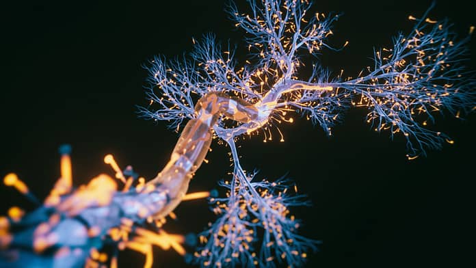 Sclérose en plaques : la découverte d'un lien avec un virus fait espérer des progrès
