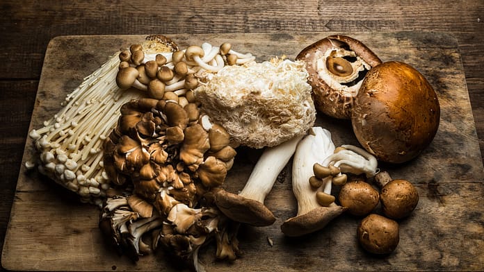 3 reasons mushrooms are so healthy

