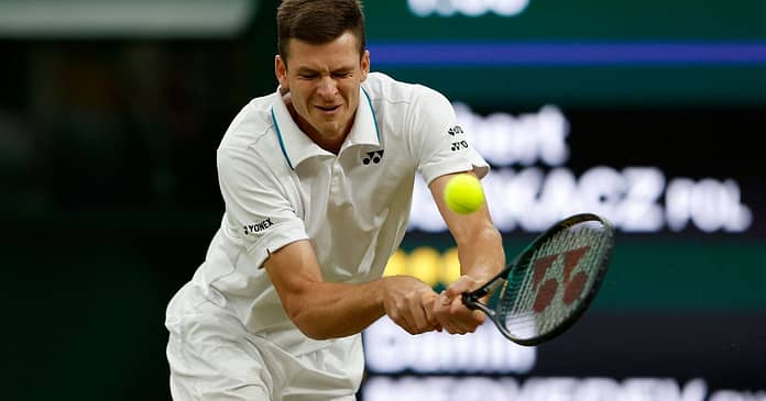 Medvedev failed, Paul Hurkacz reached the quarter-finals at Wimbledon

