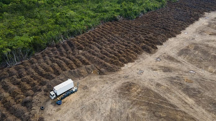 Brazil delivers on its promises: rainforest deforestation continues

