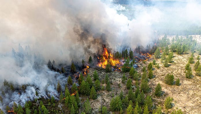 Russia: 3,000 firefighters battle dangerous forest fires in Siberia

