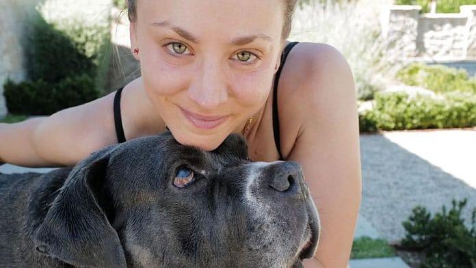 After mourning her dog: Kaley Cuoco has a new four-legged friend

