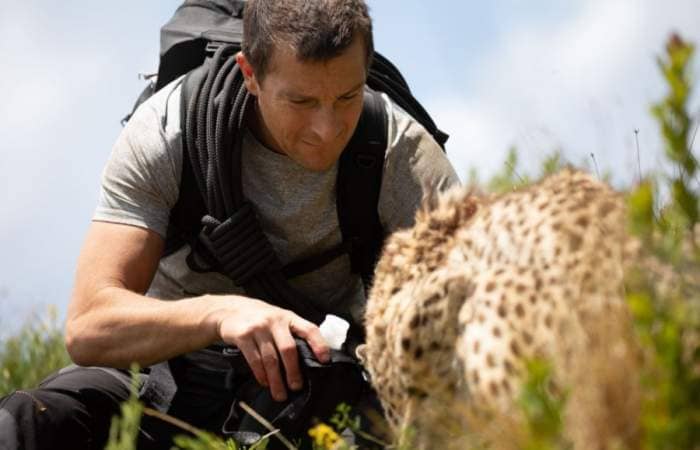 Misión safari: la película interactiva de Netflix que te lleva a una aventura por la sabana africana