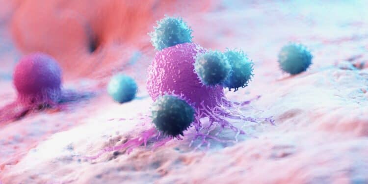 Graphic representation of immune cells attacking a cancer cell.