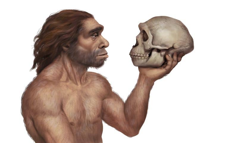Neanderthals as well as Homo sapiens have been heard, according to the study - Science