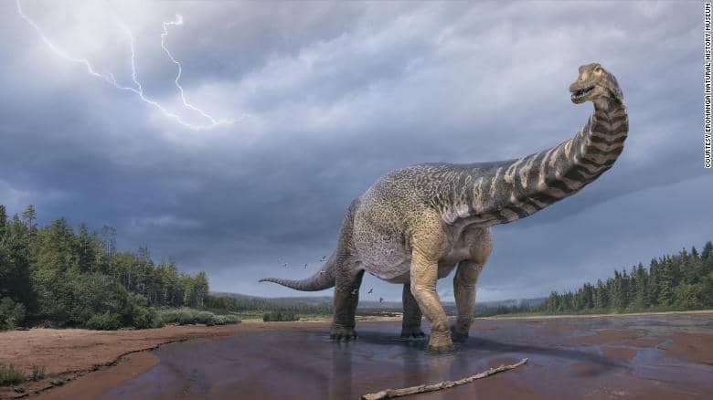This was australotitan: a giant 70-ton dinosaur discovered in Australia