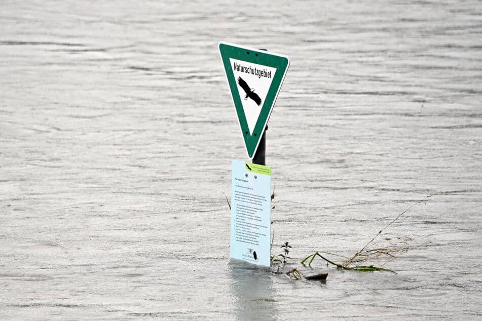 Flooding in Karlsruhe: On the Rhine, a sign emerges from the water "Natural balance".