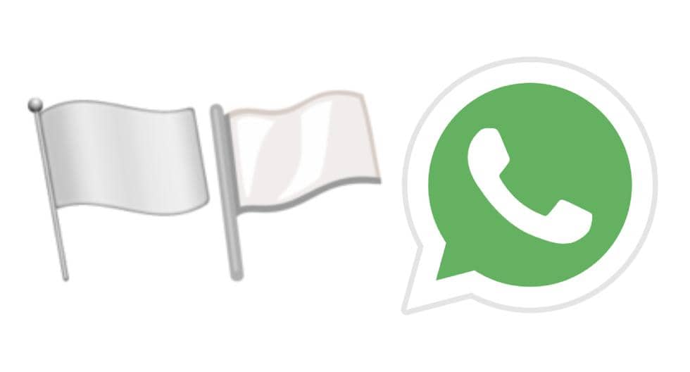 WhatsApp |  What does the white flag represent and when should you send it?  SPORTS-PLAY